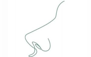 Ринопластика. Пластический хирург Халилуллин Р.И.